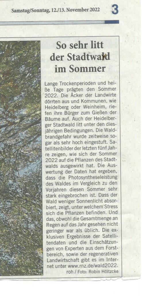 Artikel der RNZ "Stadtwald leidet"